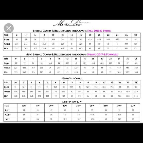 Mori Lee Formal Gown w/ Lace Overlay - Picture 5 of 5